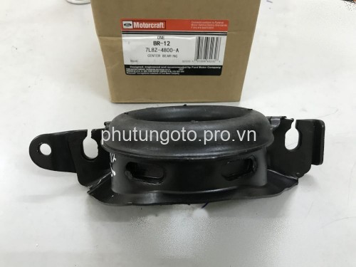 BI QUANG TREO (BẠC ĐẠN LẮP DỌC) FORD ESCAPE 2