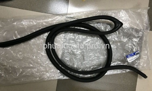 GIOĂNG (RON) THÂN XE (KHUNG CỬA) HYUNDAI ELANTRA, AVANTE