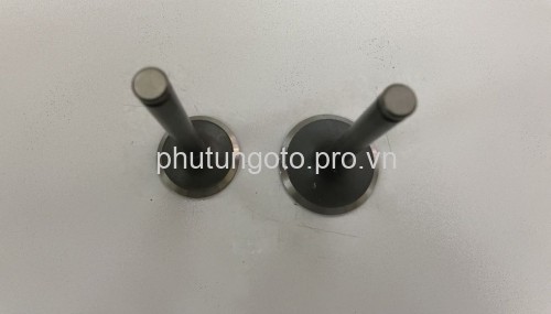 NẮP XU PÁP HÚT XẢ MITSUBISHI PAJERO V33, 43