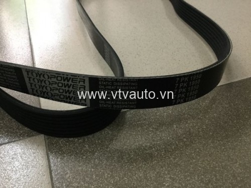 Dây cua roa Toyota  Camry 7PK1905