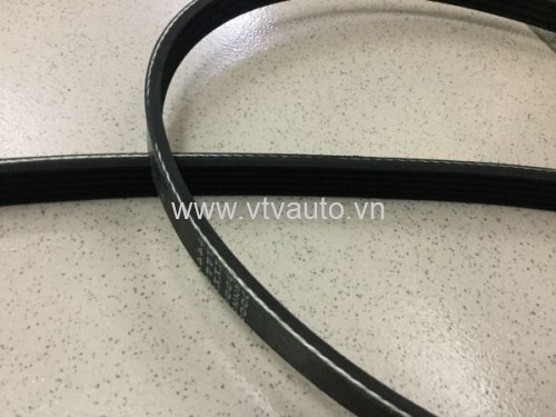 Dây cua roa Ford Laser 1.8,  4PK920, 5PK1165