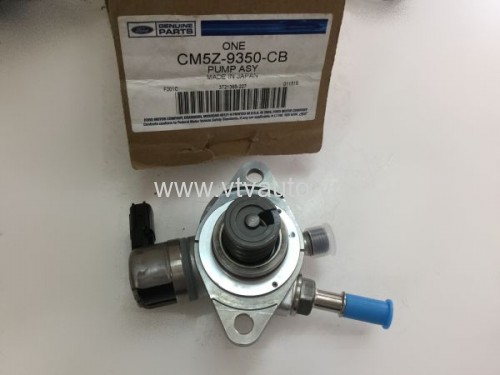 Bơm biến thiên Ford Focus 2013  
