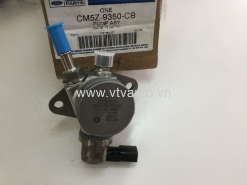 Bơm biến thiên Ford Focus 2013  
