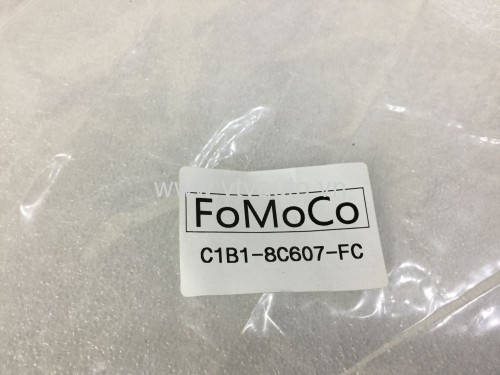 Ốp công tắc tổng Ford Everets 2006-2009