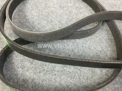 Dây curoa tổng Ford Escape 3.0, 2002-2005