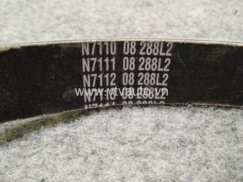 Dây cua roa tổng Ford  Escape 3.0,2002-2005 