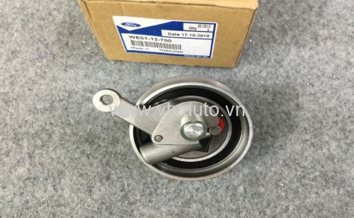 Bi tăng cam Ford Ranger, Ford Everest 2008-2011