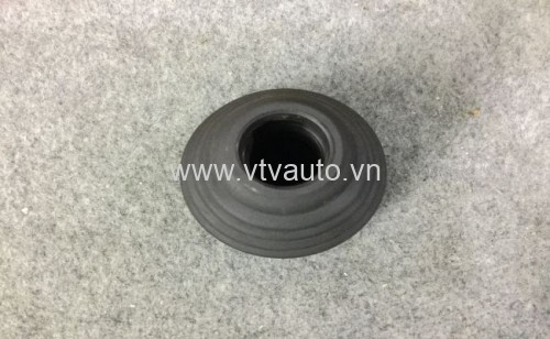 Cao su láp trong Ford Ecosport