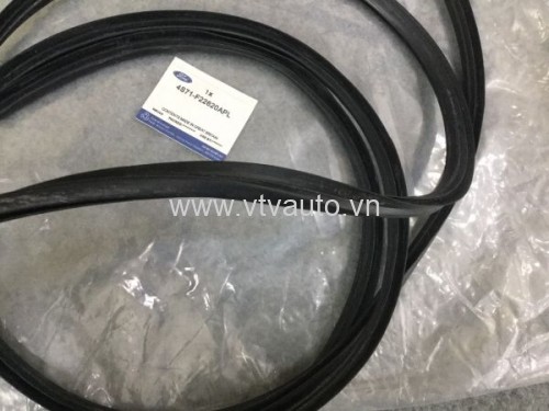 Gioăng kính chắn gió trước Ford Focus 1.8, 2011 Hatback số tự động