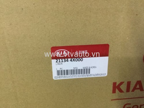 Bộ Xi lanh + piston+ bạc biên balie Kia Motors