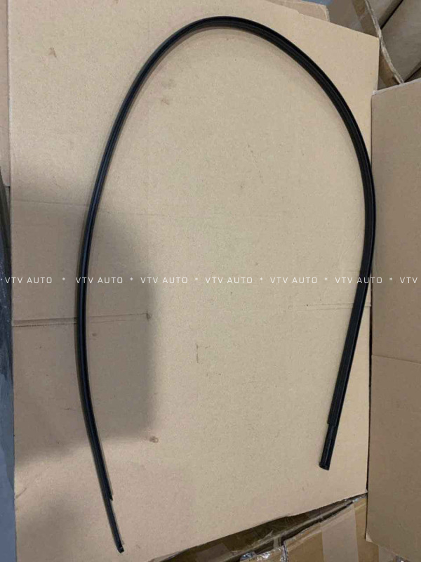 Nẹp Nóc Xe Bên Trái Camry 07-11
