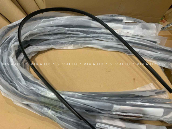 Nẹp Nóc Xe Bên Phải Camry 07-11